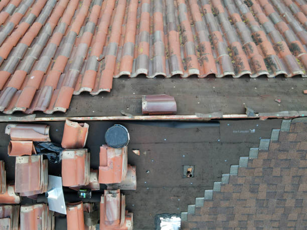 Shingle Roof Repair in Miam