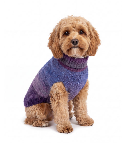 knitted dog jumper